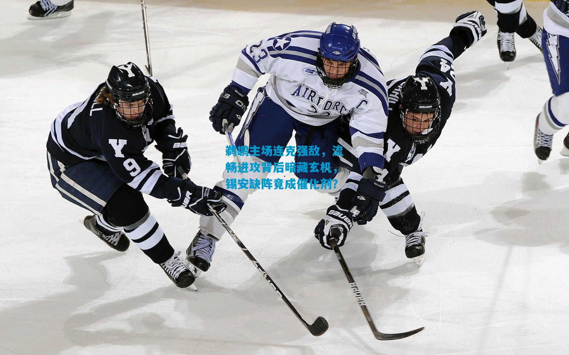 鹈鹕主场连克强敌，流畅进攻背后暗藏玄机，锡安缺阵竟成催化剂？