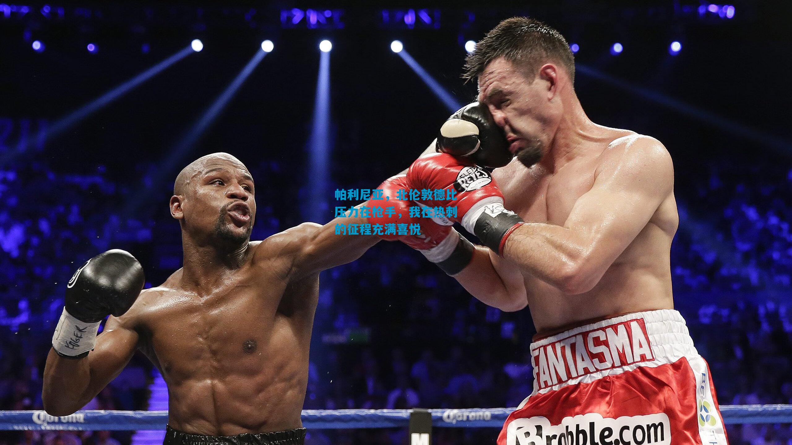 帕利尼亚,北伦敦德比压力在枪手,我在热刺的征程充满喜悦